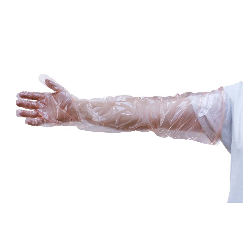 Guanti per inseminazione artificiale, scatola da 100